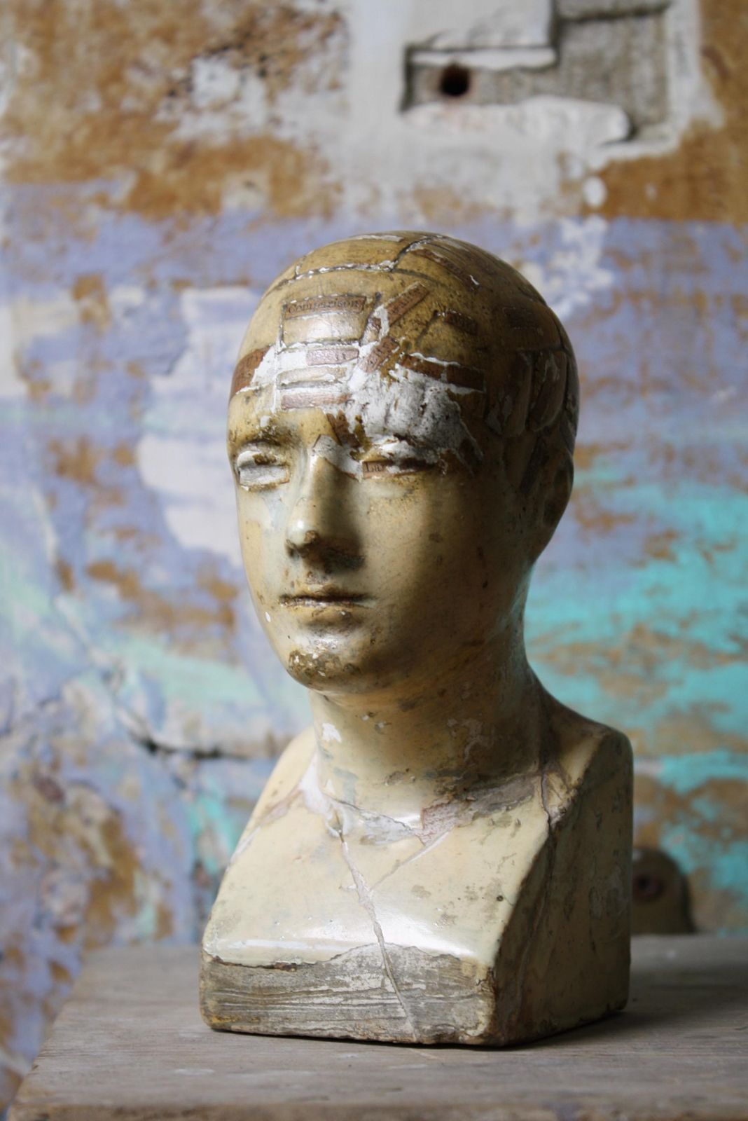 19th Century Plaster Phrenology Bust By Vago Of London, 1869
