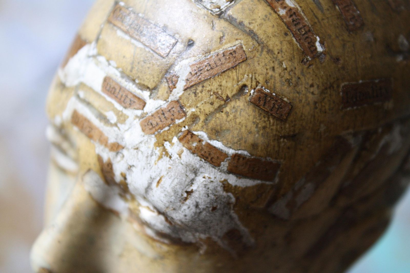 19th Century Plaster Phrenology Bust By Vago Of London, 1869 photo furniture