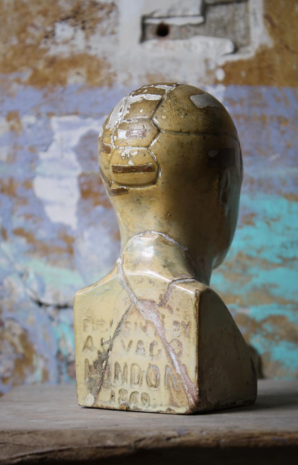 19th Century Plaster Phrenology Bust By Vago Of London, 1869 photo Art