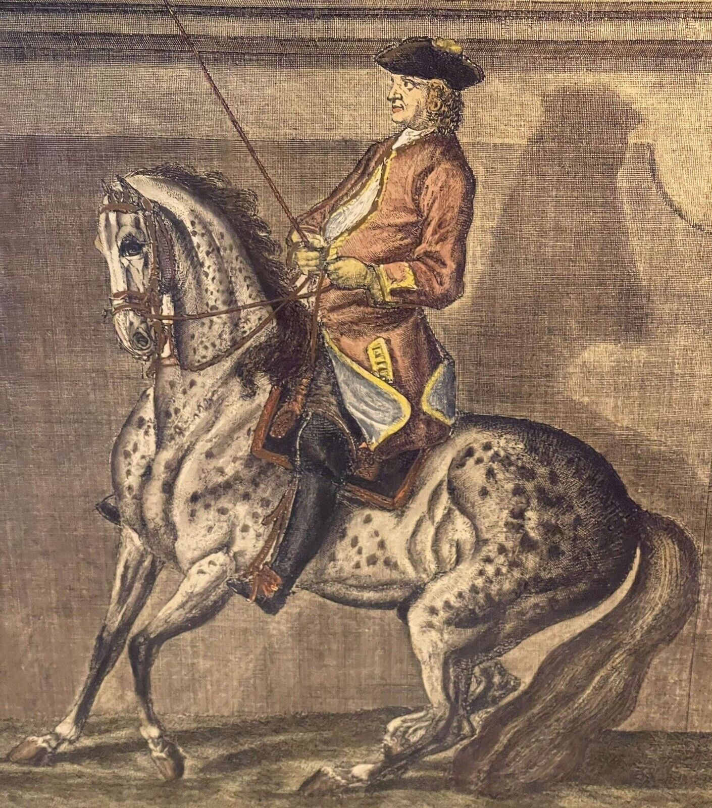 Johann Elias Ridinger (1698 1767) Hand Coloured Engraving 1734