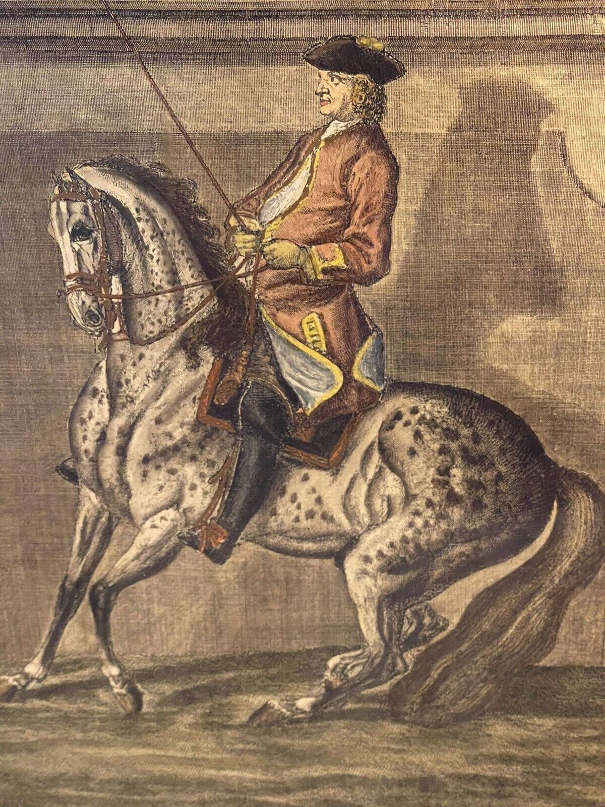 Johann Elias Ridinger (1698 1767) Hand Coloured Engraving 1734 photo vintage