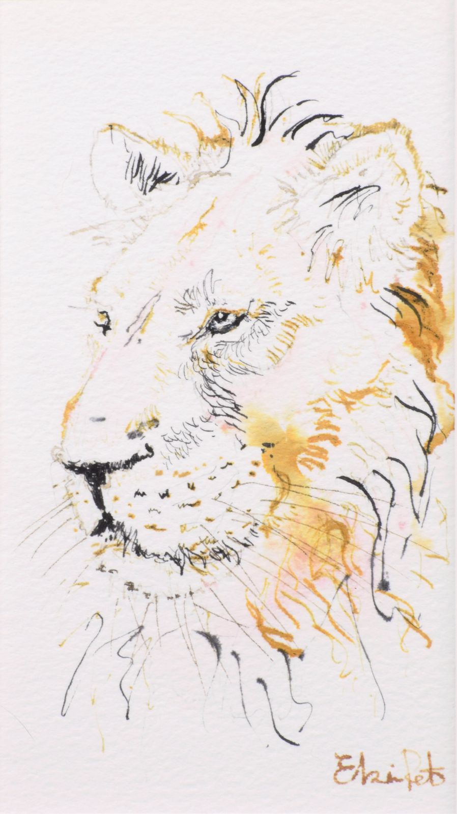 Original Watercolour Painting Drawing   Lion's Head   Signed   Framed And Glazed photo furniture