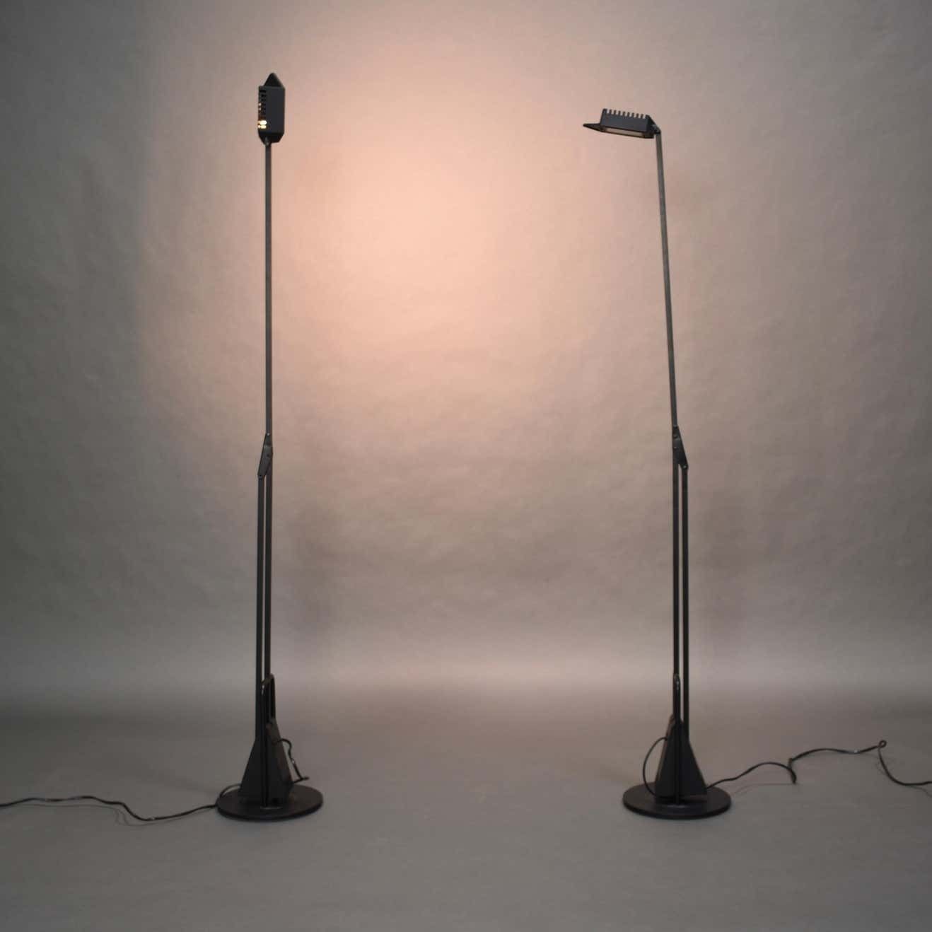 Pair Of 'Flamingo' Counterweight Table Lamps By Fridolin Naef For Luxo, Italy photo buy