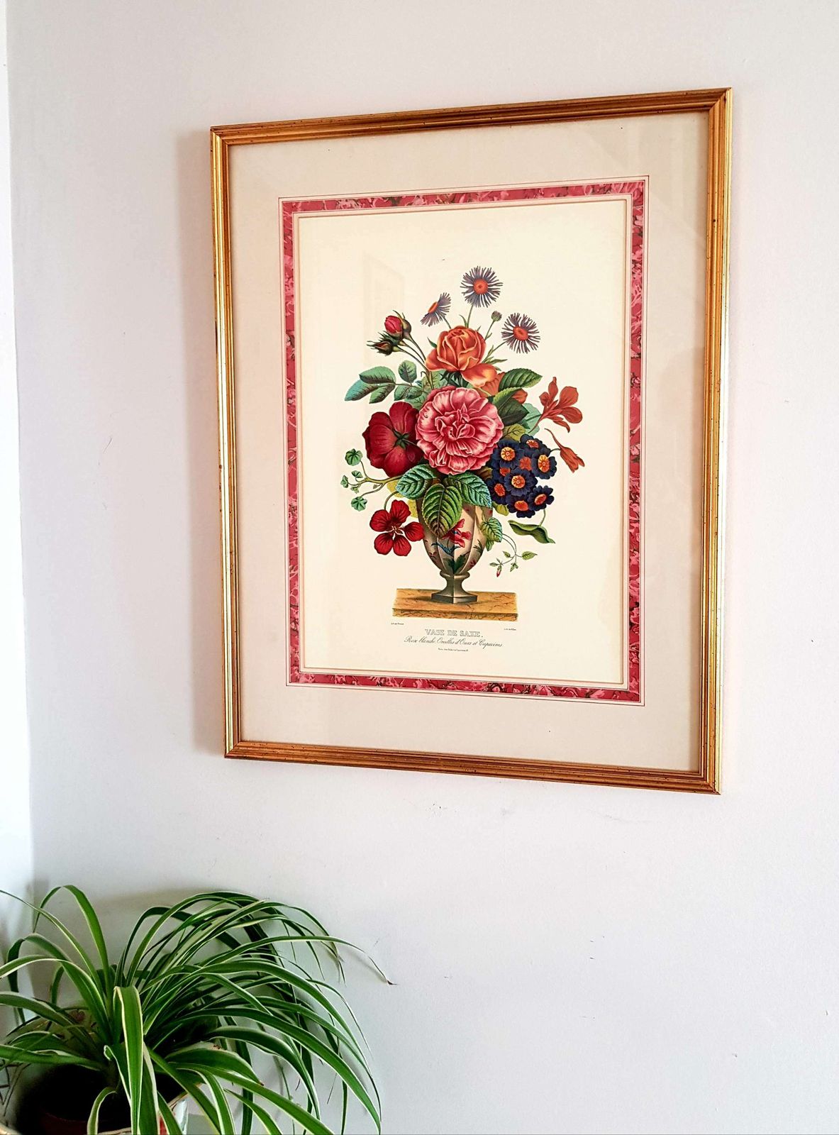 Large, Framed French Vintage Print