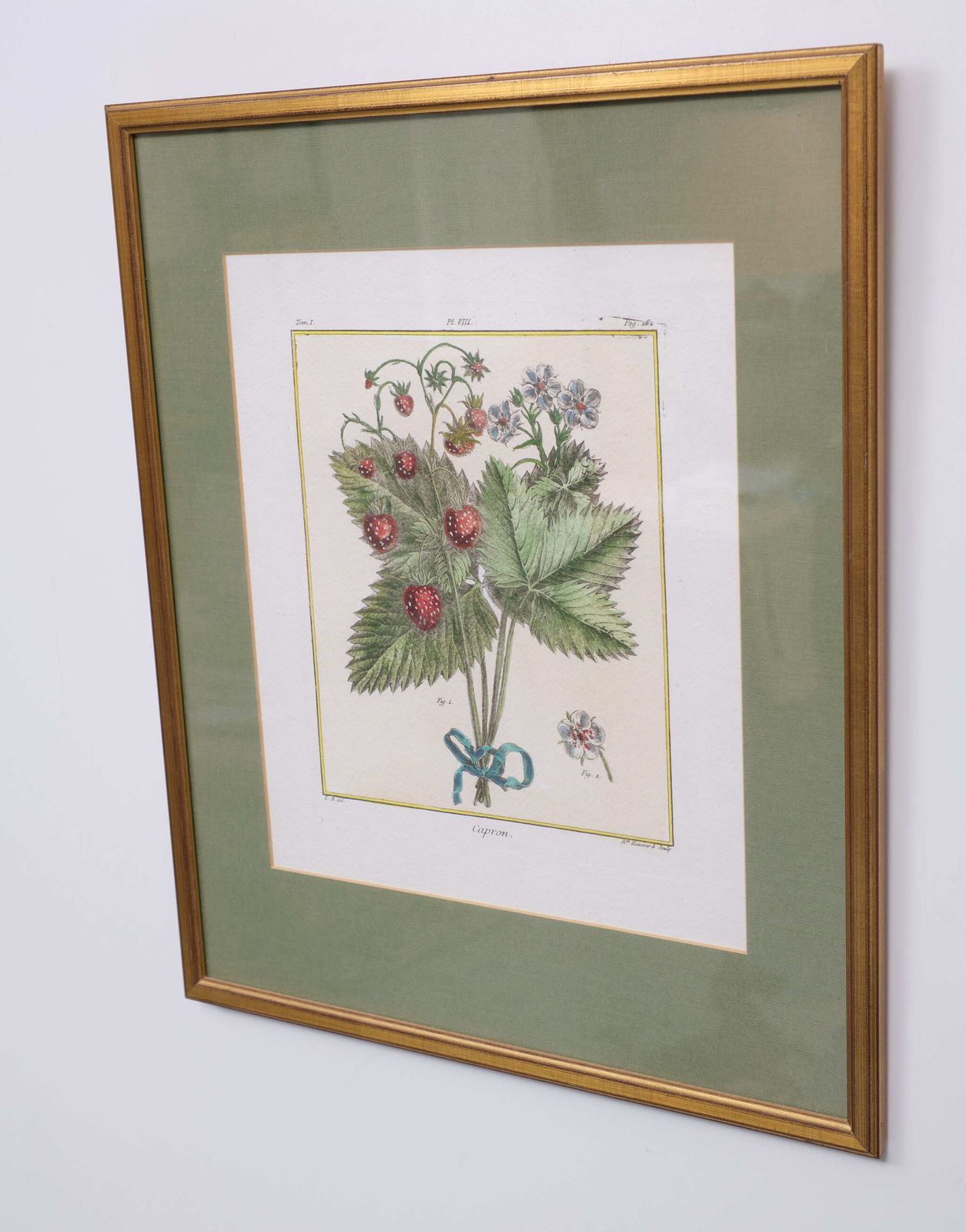 Set Elisabeth Haussard '1700 1804' 18 Century Hand Colored Engraving photo vinterior
