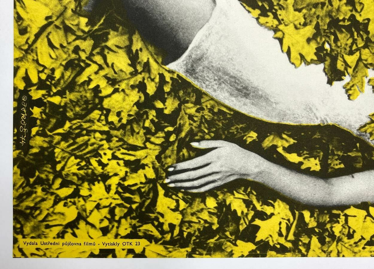 Movie Poster, During One Night, Alexej Jaroš, 1974 photo for sale