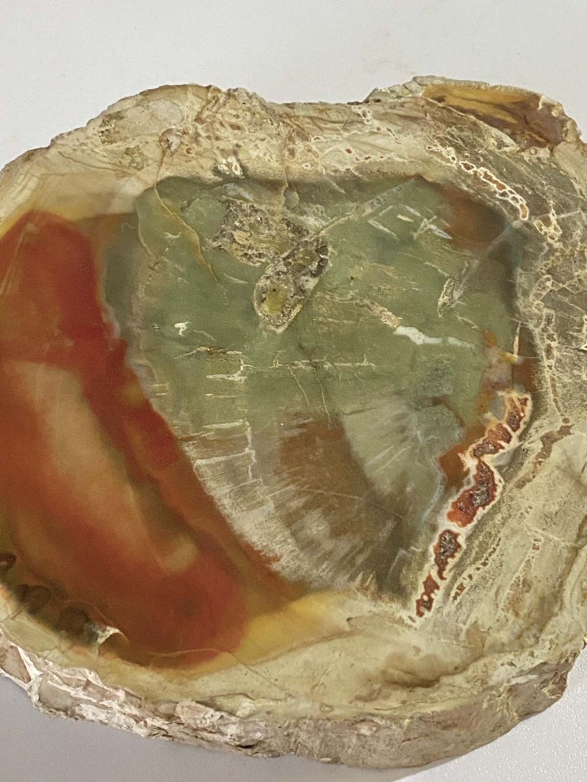 Petrified Wood Ashtray, 15th Century And Earlier, Organic Modern photo furniture