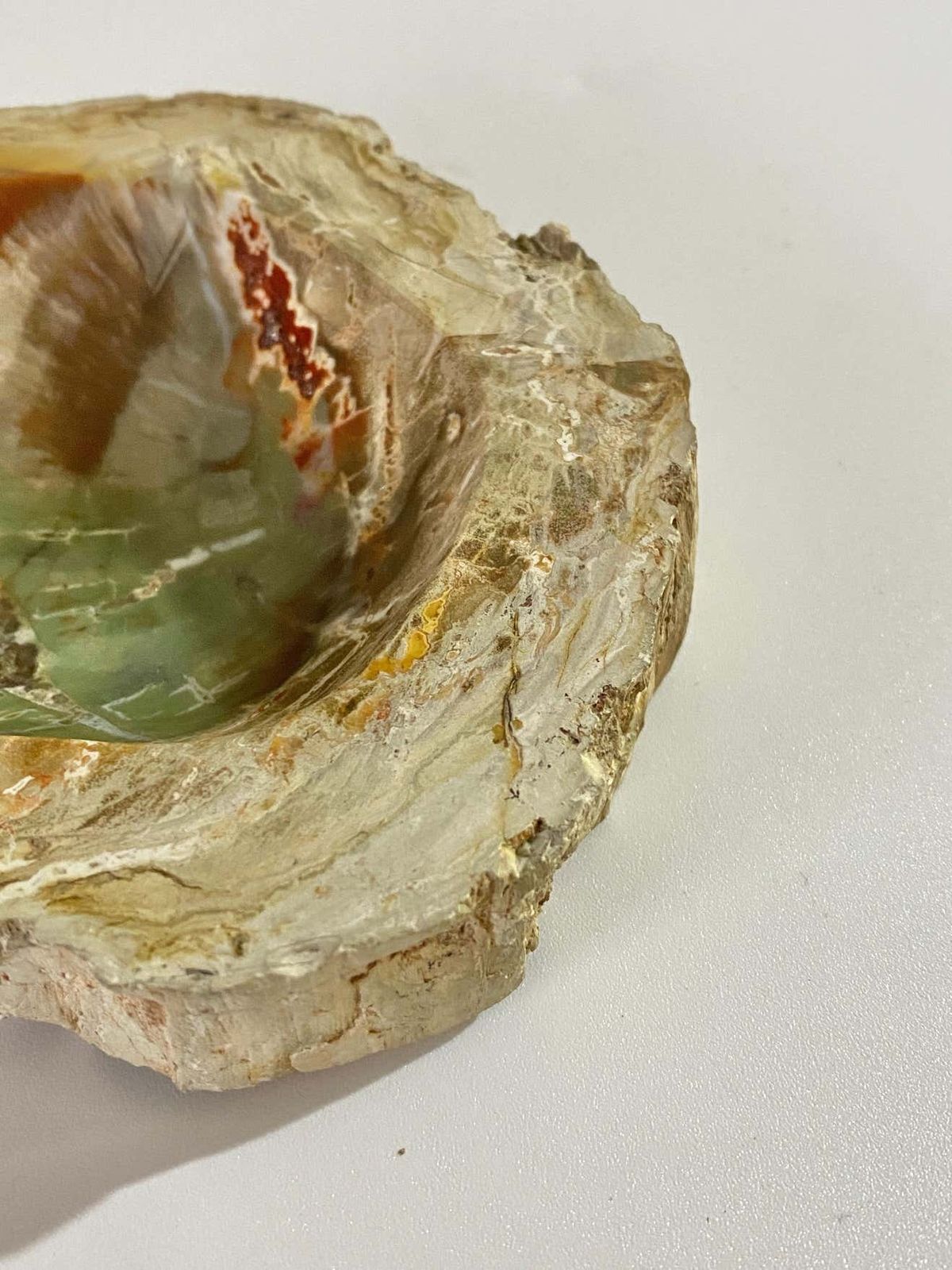 Petrified Wood Ashtray, 15th Century And Earlier, Organic Modern photo buy