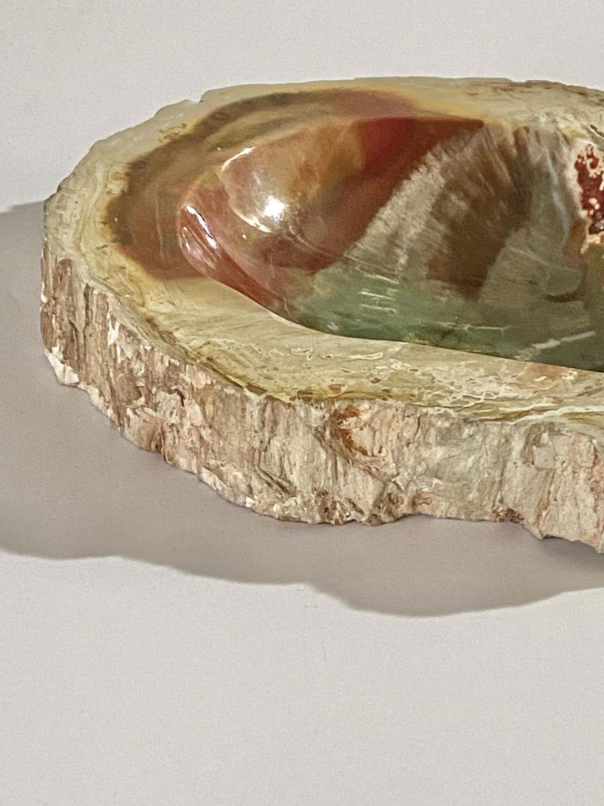 photo furniture Petrified Wood Ashtray, 15th Century And Earlier, Organic Modern