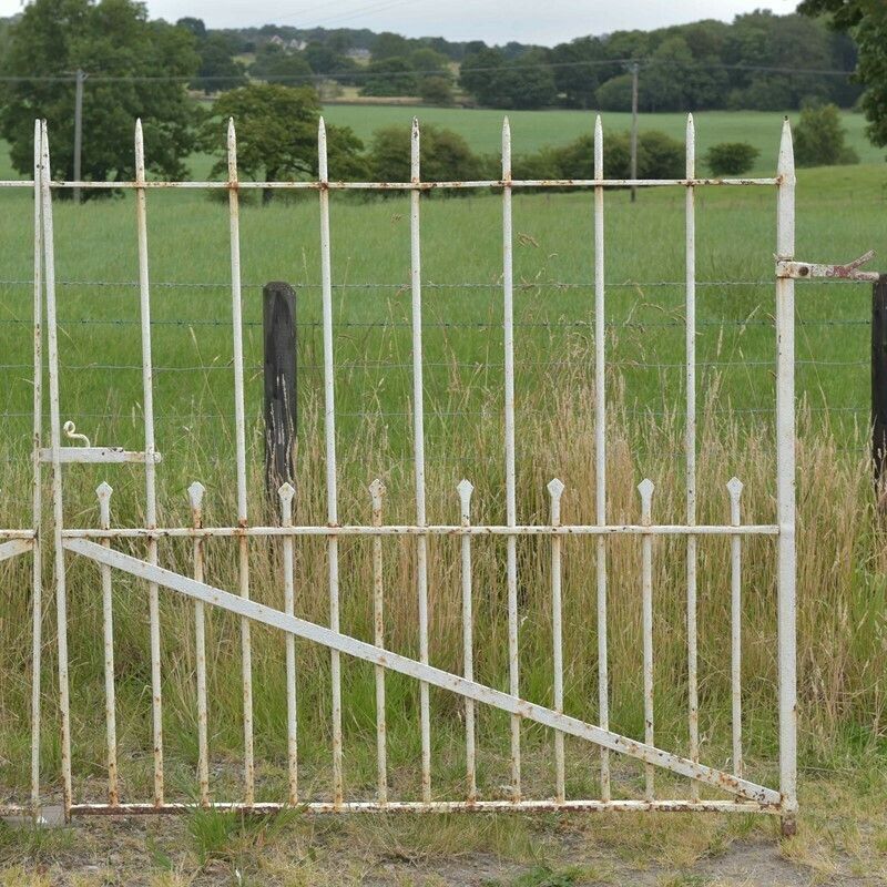 Antique Iron Driveway Gates, 1800s photo for sale