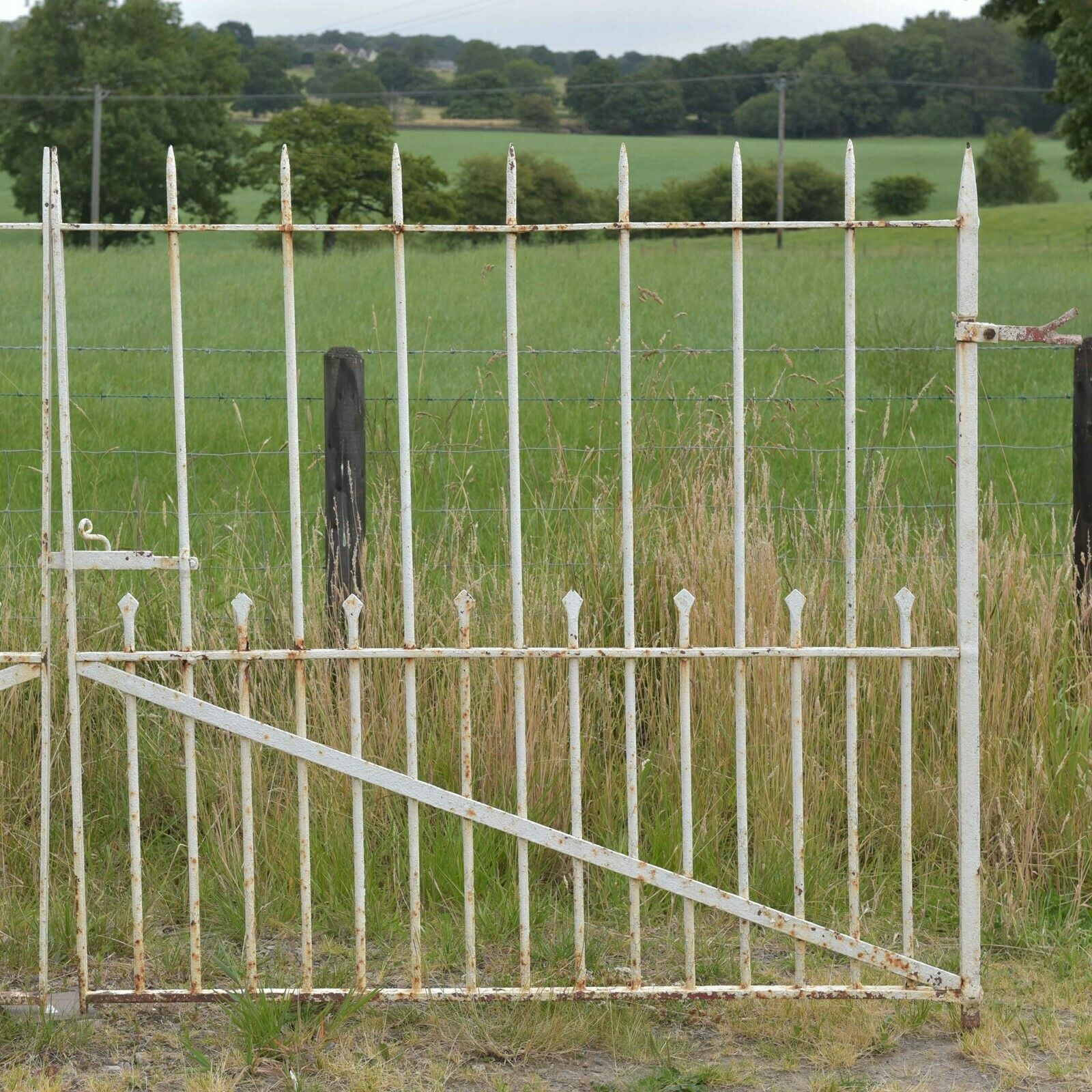 1475.0 Antique Iron Driveway Gates, 1800s photo
