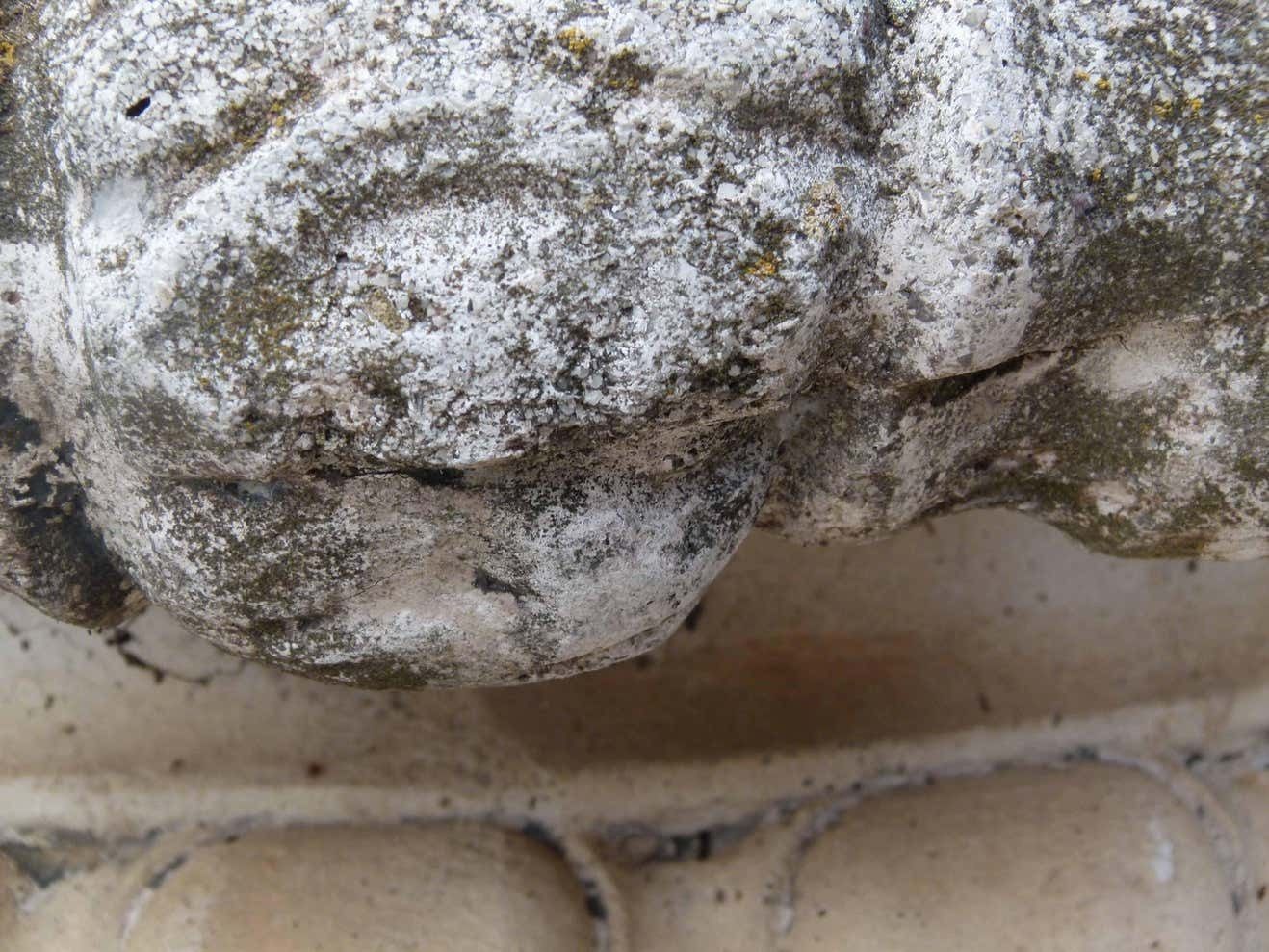 photo furniture Mid 20th Century Reconstituted Stone Urn In Classical Greek Style