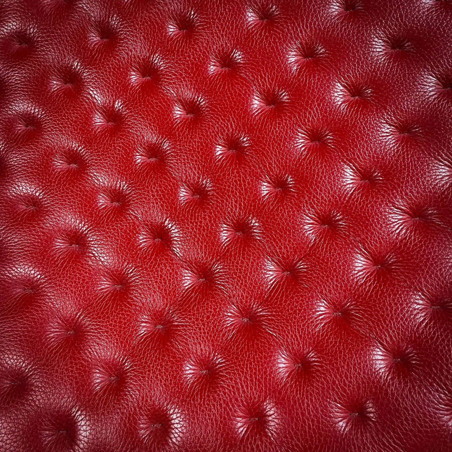 photo vinterior De Sede Ds 51 Fauteuil – Zwitserland