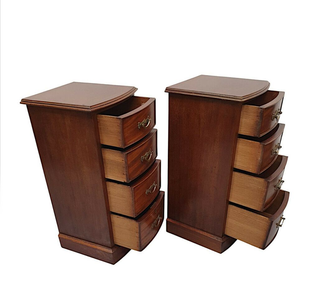 A Very Fine Pair Of Large 19th Century Bow Fronted Bedside Chests photo Furniture