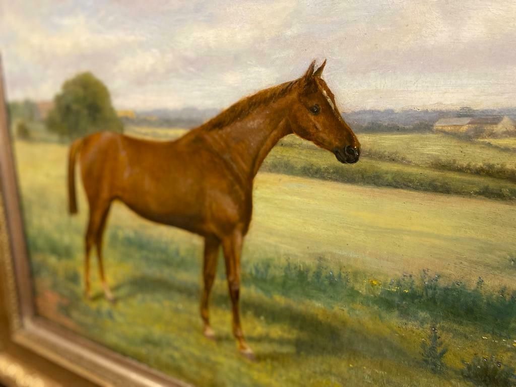 Oil Painting   19th Century Portrait Of A Chestnut Horse Benedict Angell Hyland photo buy