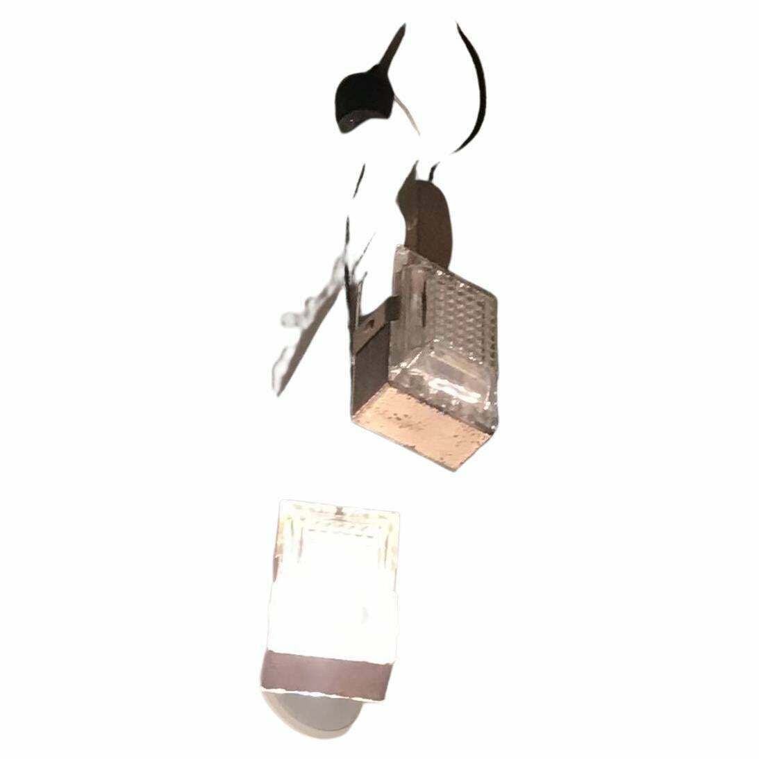 Bbpr Couple Chandelier Glass Metal Crome 1955 Italy