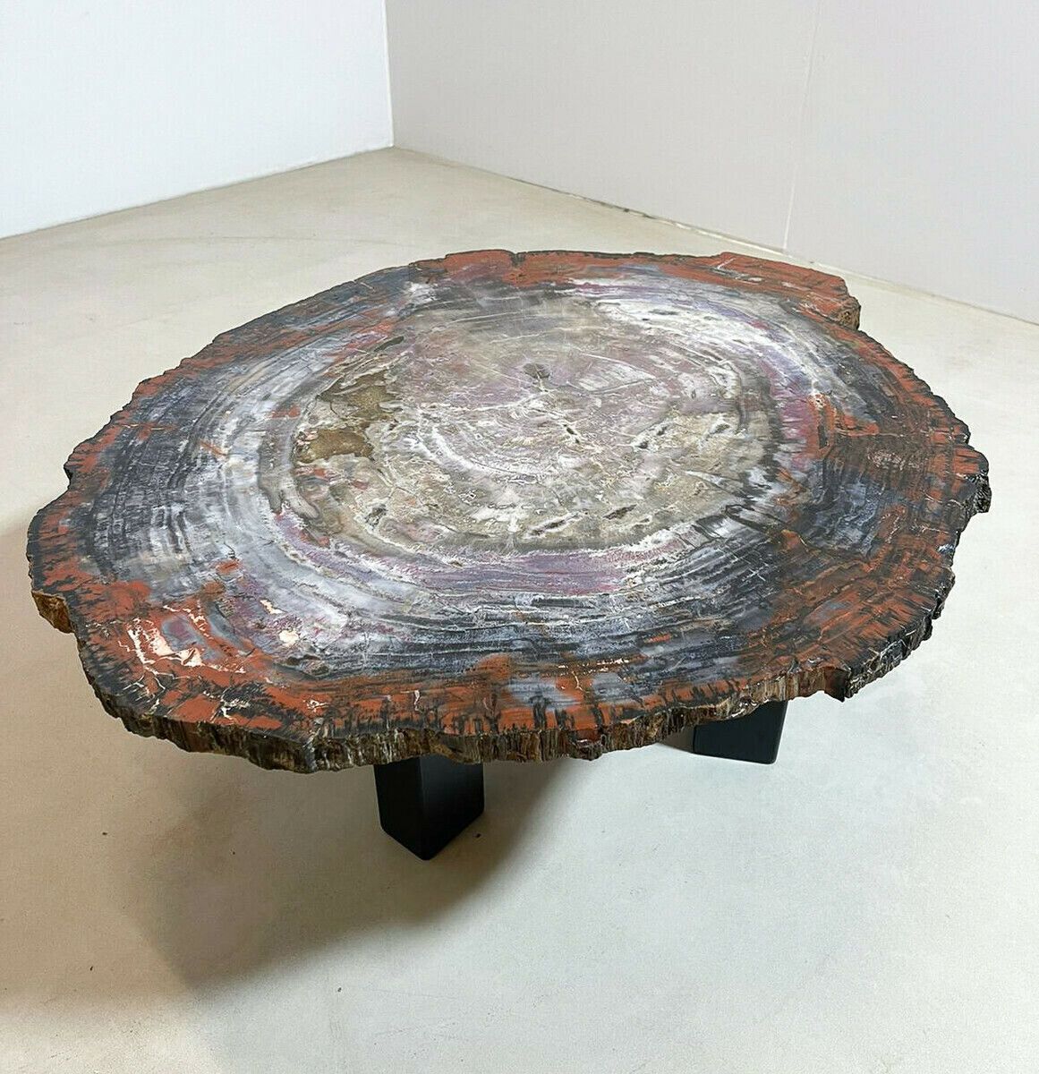 Mid Century Modern Petrified Wood Coffee Table photo 3260.0