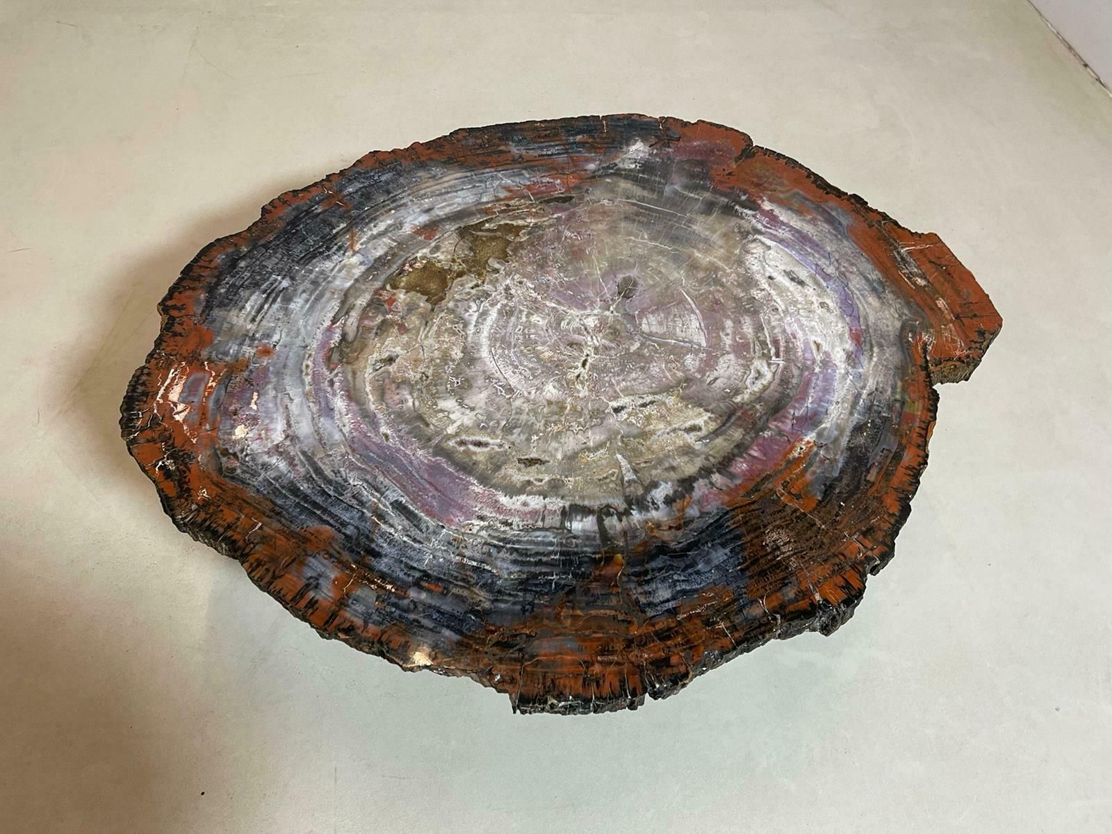 Mid Century Modern Petrified Wood Coffee Table photo vintage