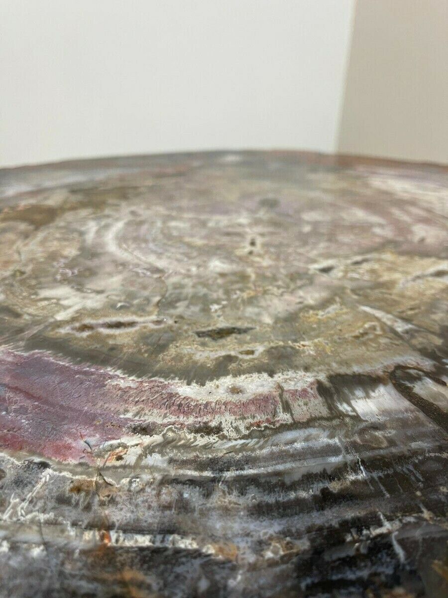 photo furniture Mid Century Modern Petrified Wood Coffee Table