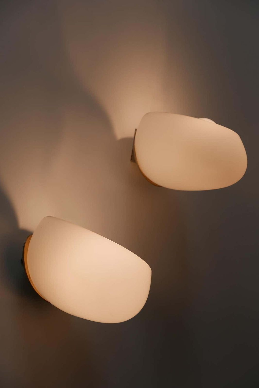 1135.0 Mid Century Modern Wall Lamps Corno, Wilhelm Wagenfeld For Peill & Putzler, 1952 photo