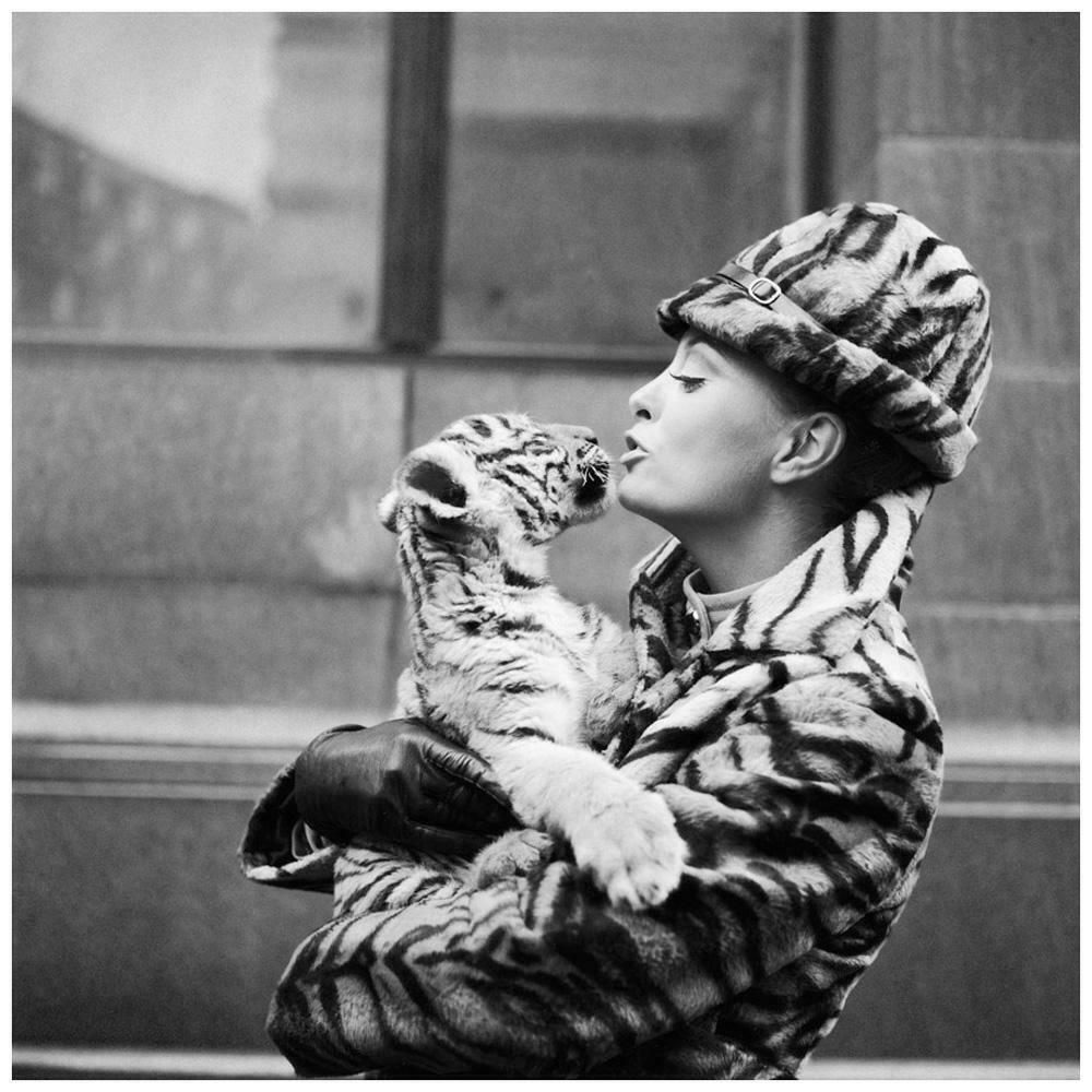 Tiger Lady   Getty Archive, 20th Century Photography, Aeroplane Fashion, Animals