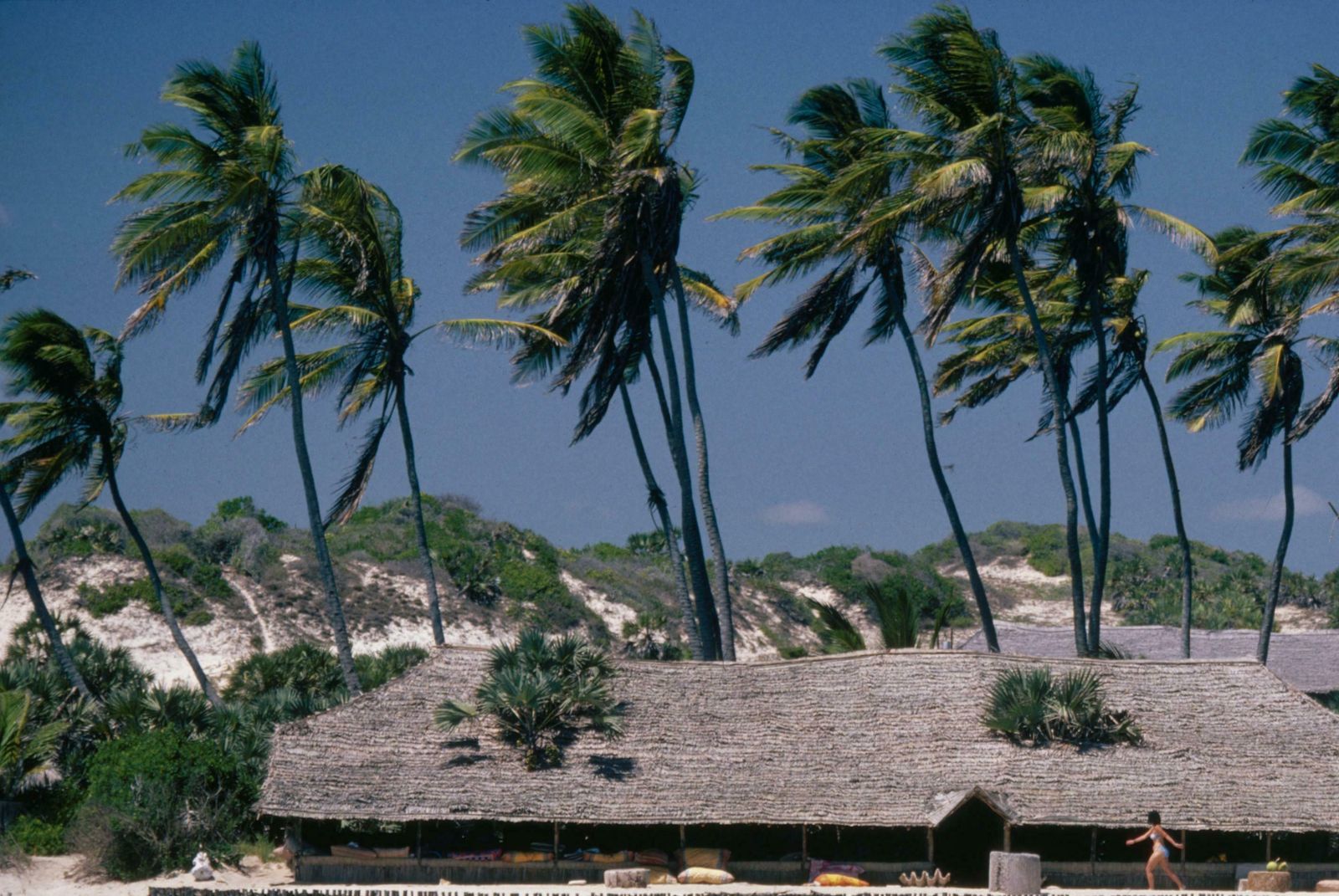 The Lure Of Lamu By Slim Aarons, Limited Edition Estate Stamped C Type photo Art
