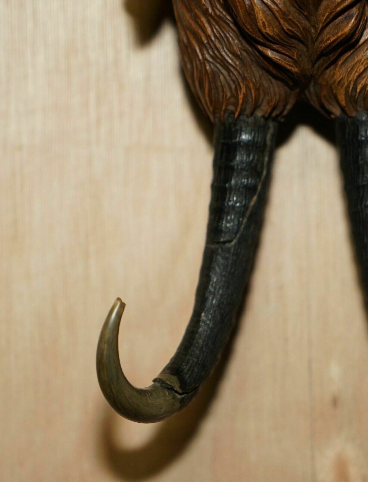 photo furniture Antique Musical Circa 1880 Black Forest Hand Carved Fox Whip Hook Glass Eyes