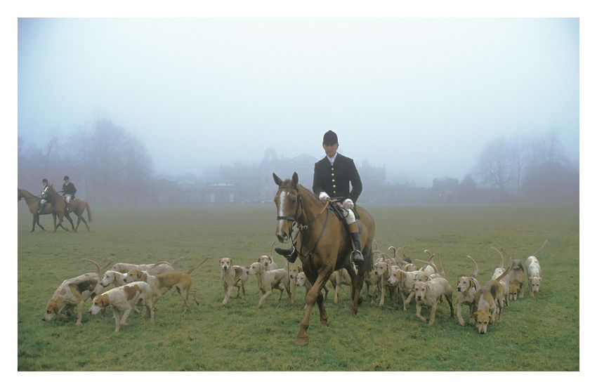 'Riders And Hounds' Homer Sykes Framed In White photo furniture