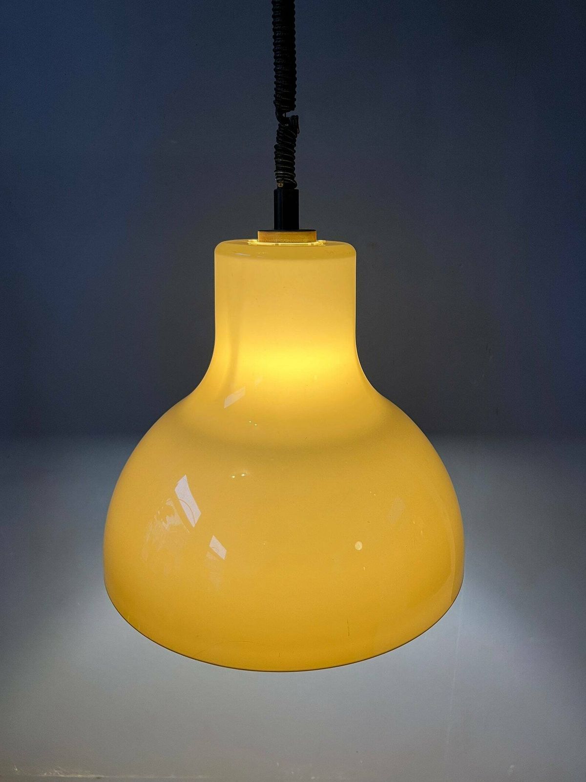 Grote Space Age Hanglamp Van Acrylglas photo 313.8192