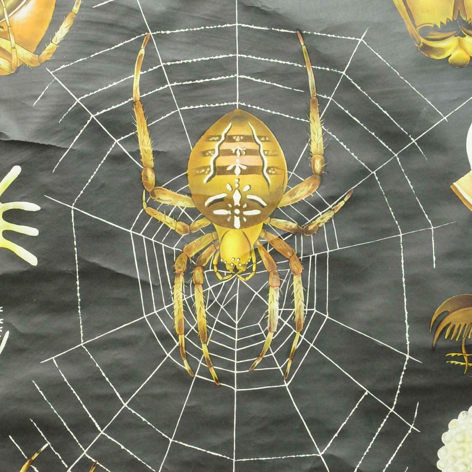 Vintage Rollable Jung Koch Quentell Wall Chart Cross Spider Araneus Marmoreus photo for sale