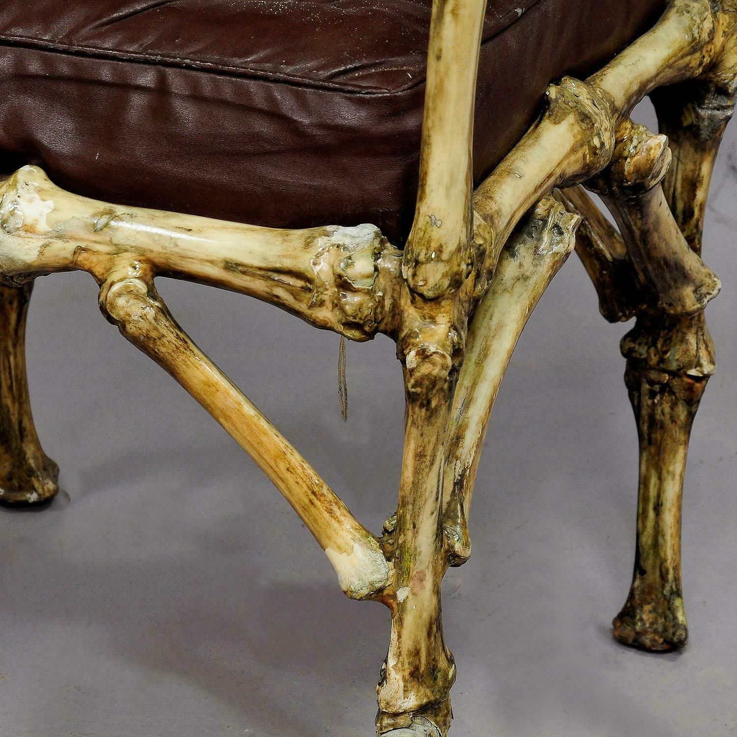 Large Vintage Cow Bone Throne Armchair, Germany, Circa 1930 photo 5576.0