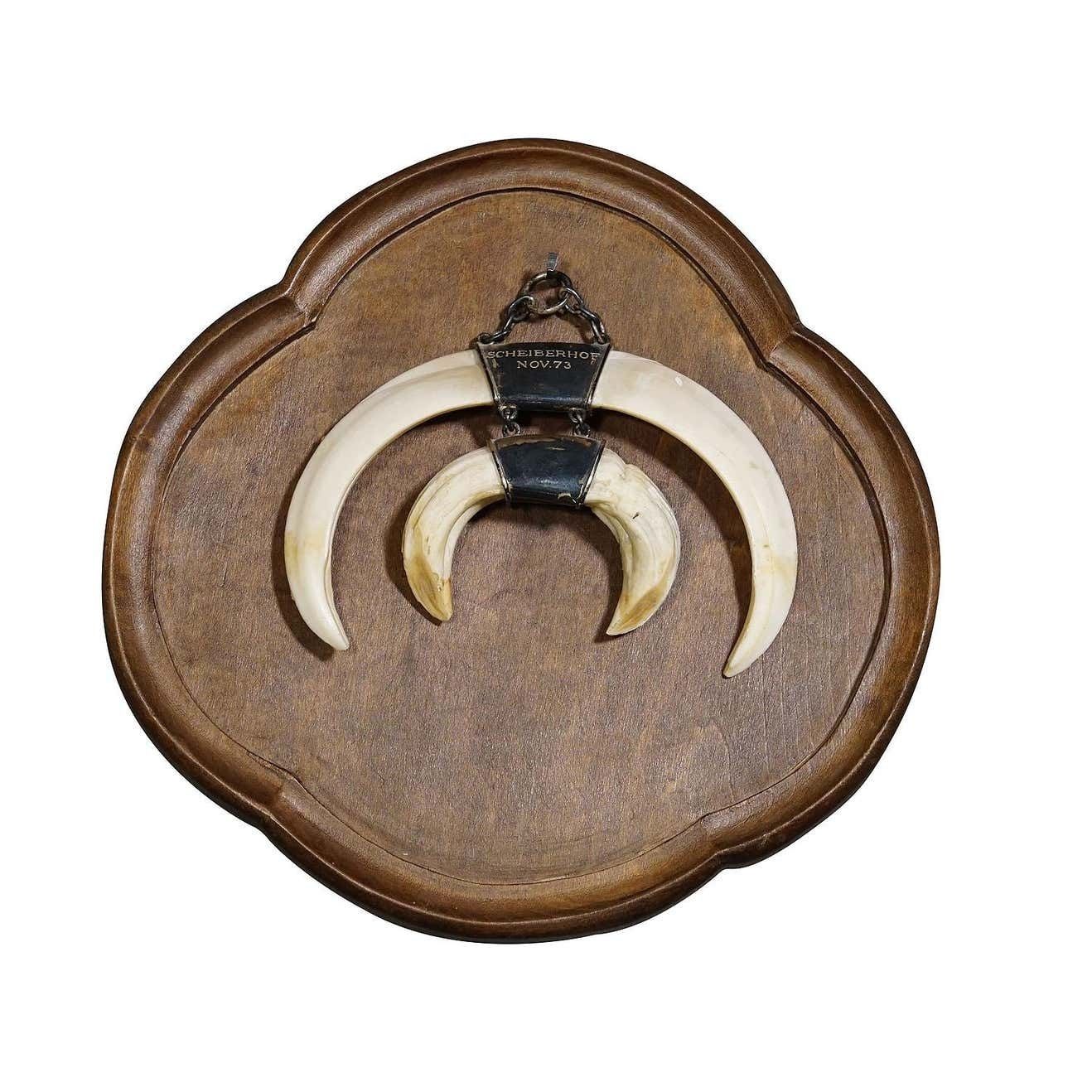 Wild Boar Trophy On Wooden Plaque, Germany Circa 1970s photo furniture