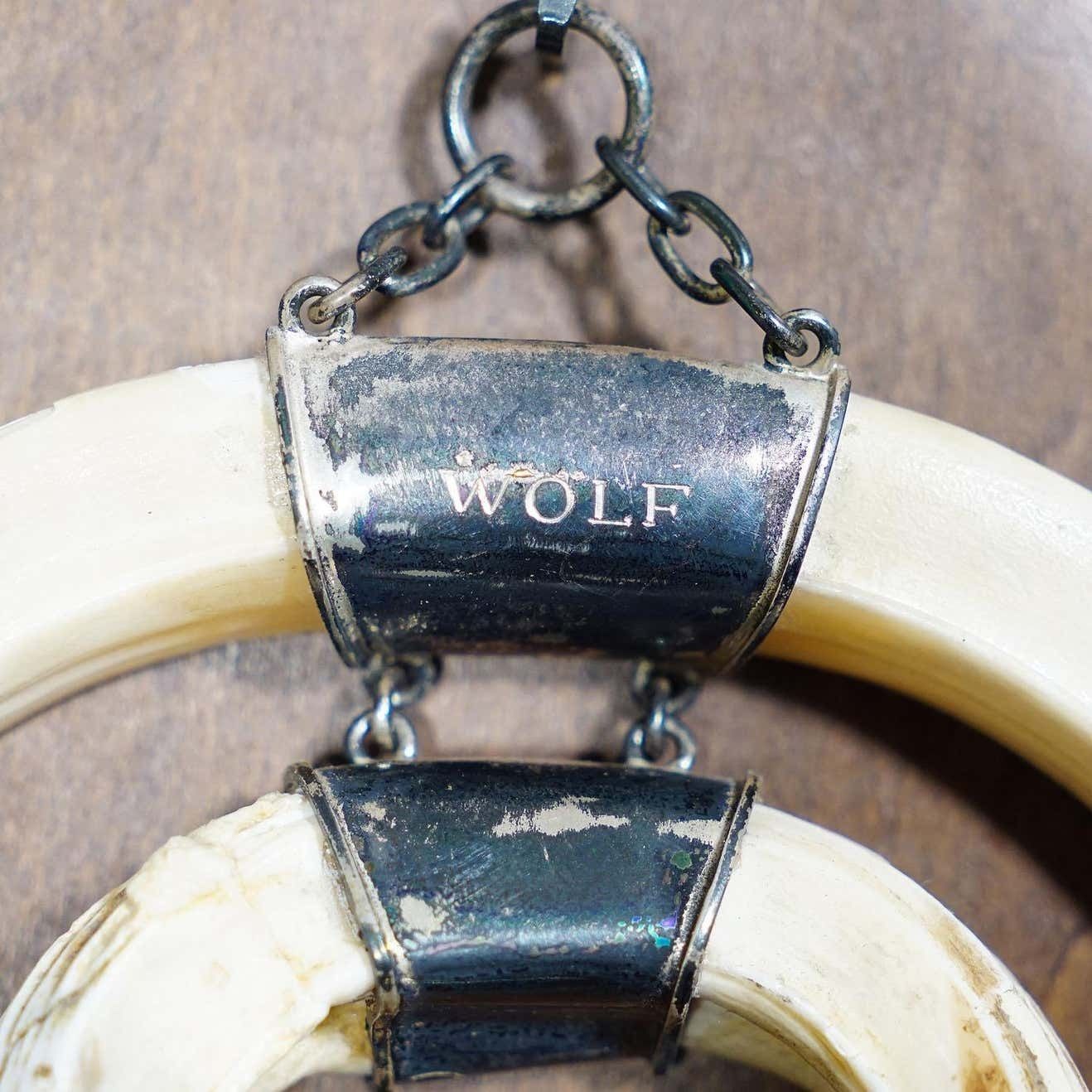 Wild Boar Trophy On Wooden Plaque, Germany Circa 1970s photo buy