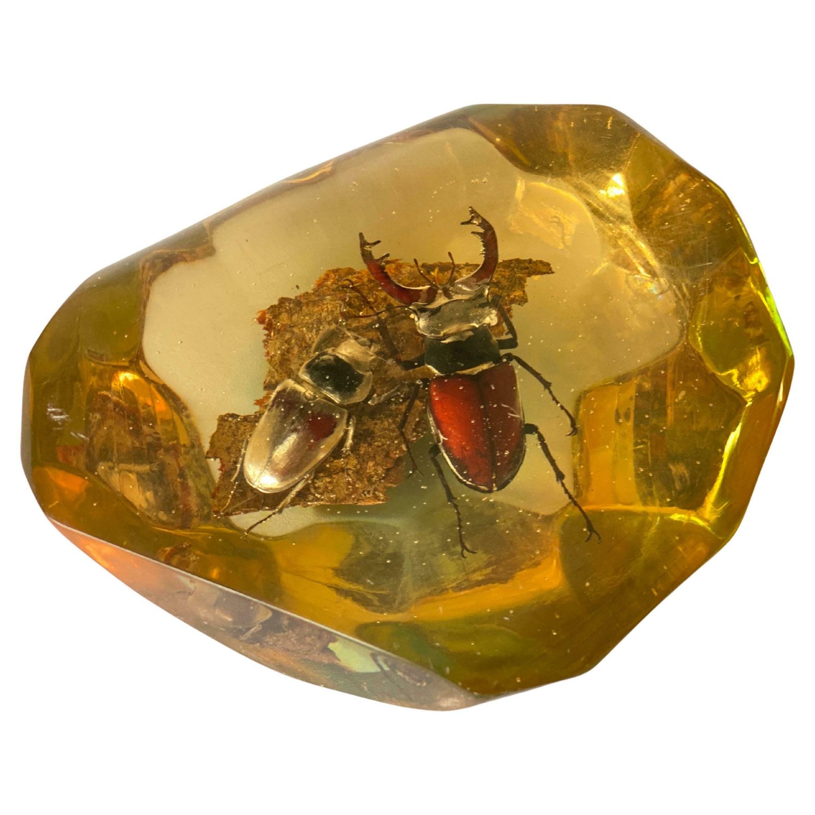 French, 1970s, Lucite Resin Cube Sculpture With Beetles