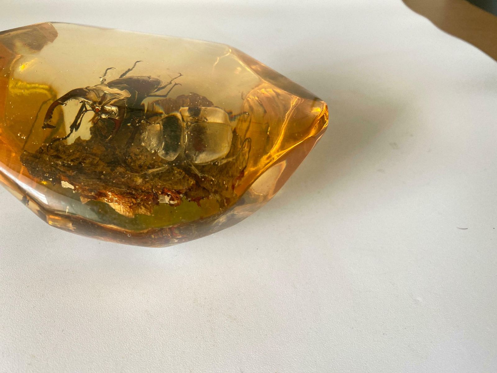 French, 1970s, Lucite Resin Cube Sculpture With Beetles photo 381.0