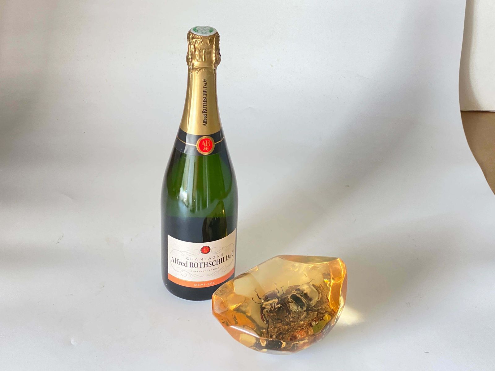 French, 1970s, Lucite Resin Cube Sculpture With Beetles photo vinterior