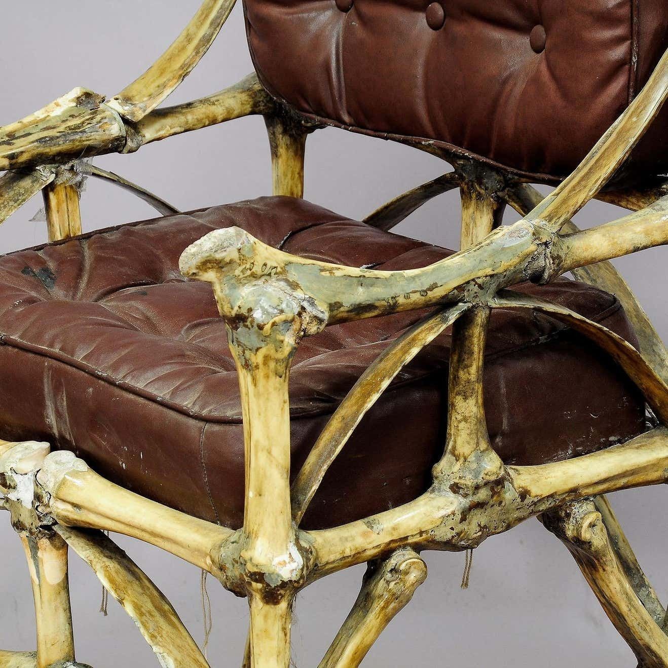 Large Wacky Bull Bone Throne Chair Circa 1930 photo 5576.0