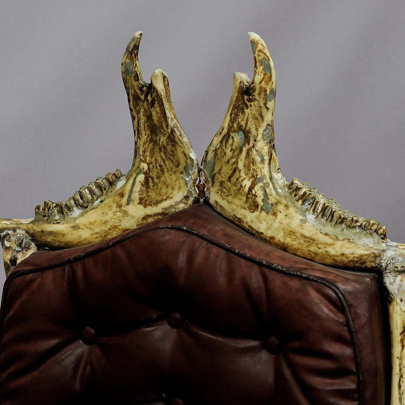 Large Wacky Bull Bone Throne Chair Circa 1930 photo buy