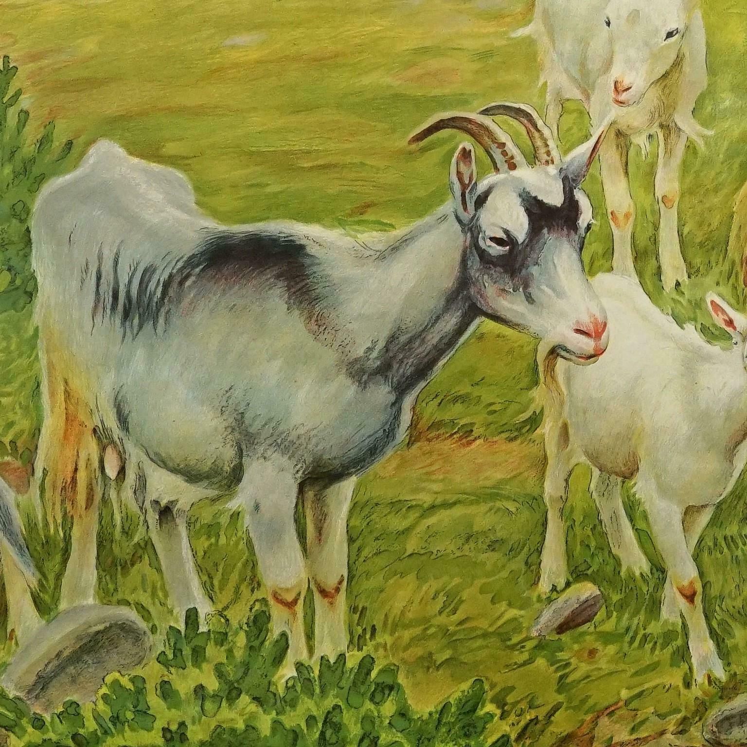 Countrycore Mural Vintage Rollable Wall Chart Goats On The Mountain Pasture photo for sale