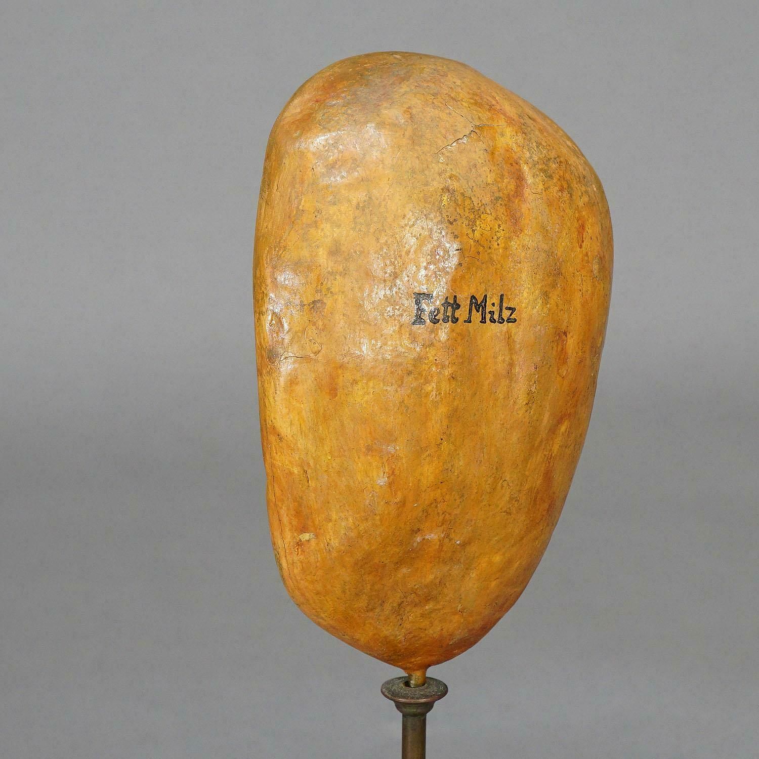 Antique Teaching Model Of The Adipose Spleen, Ca. 1900 photo furniture