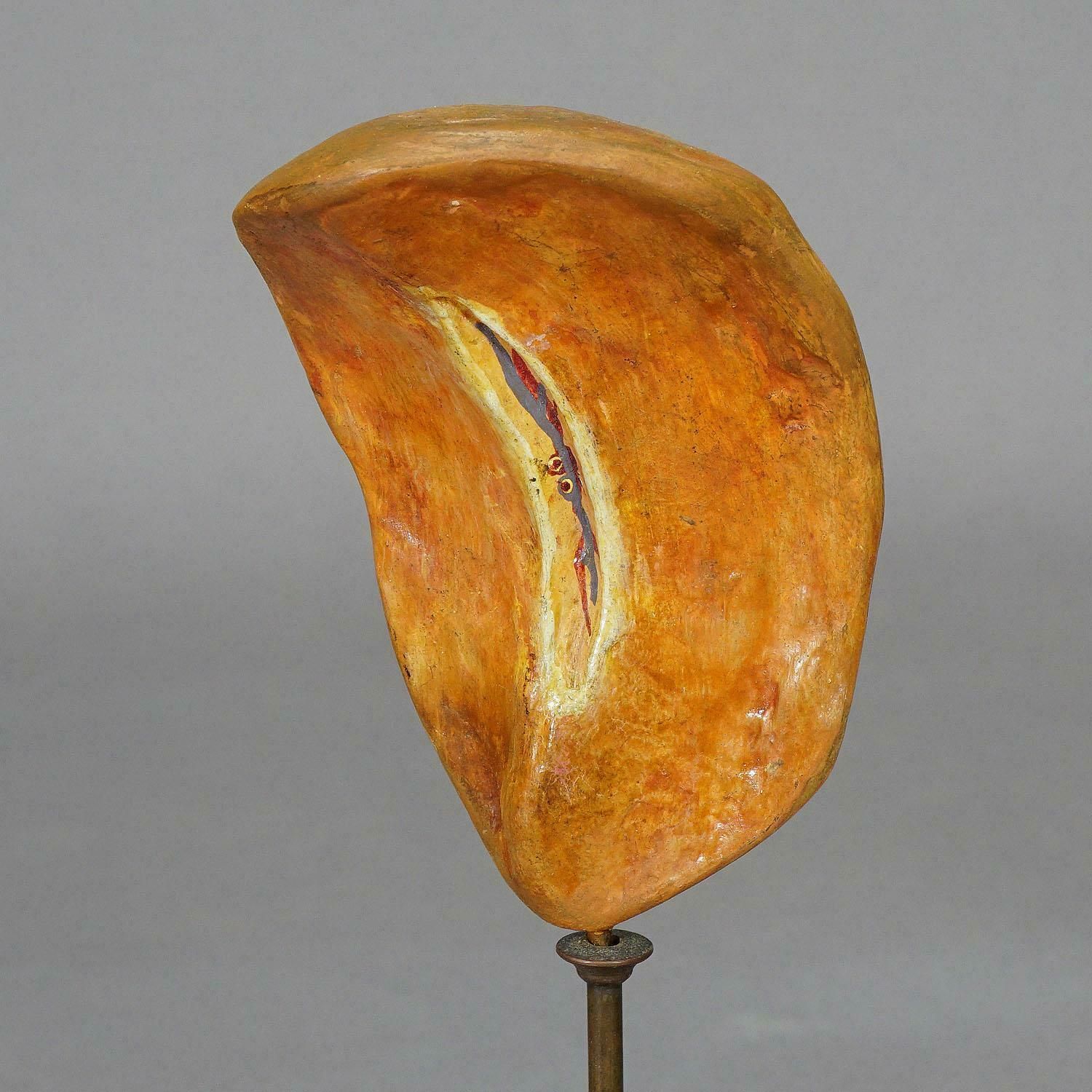 Antique Teaching Model Of The Adipose Spleen, Ca. 1900 photo for sale
