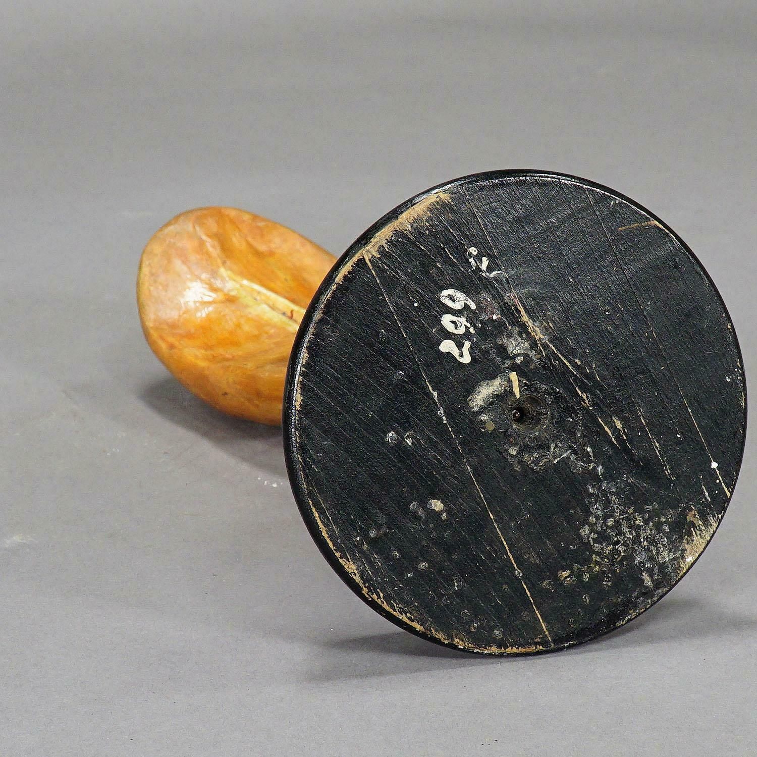 Antique Teaching Model Of The Adipose Spleen, Ca. 1900 photo vinterior