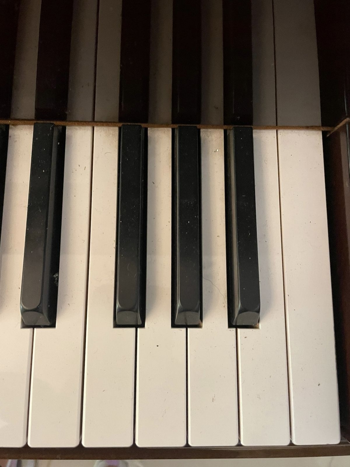 Home Decor Yamaha Baby Grand Quality Mahogany Piano Model C2 photo