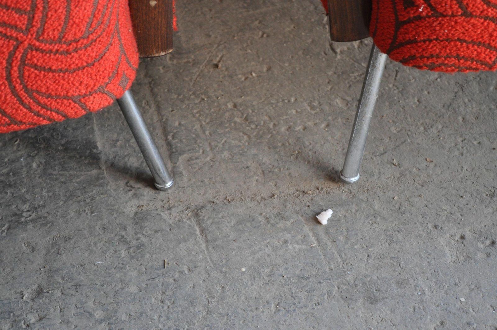 Bauhaus Style Steel & Wood Club Chairs, 1940s, Set Of 2 photo furniture