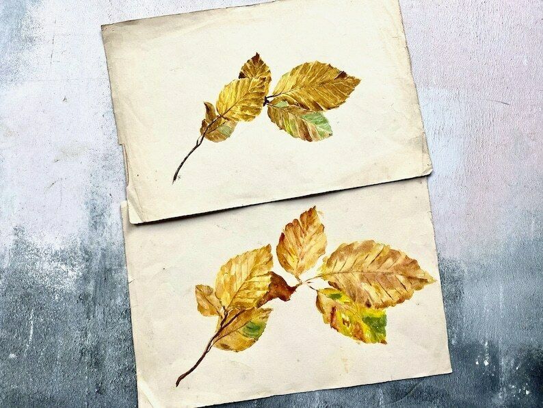 Pair Of Antique Autumnal Leaf Watercolour Paintings   Ethel Francis