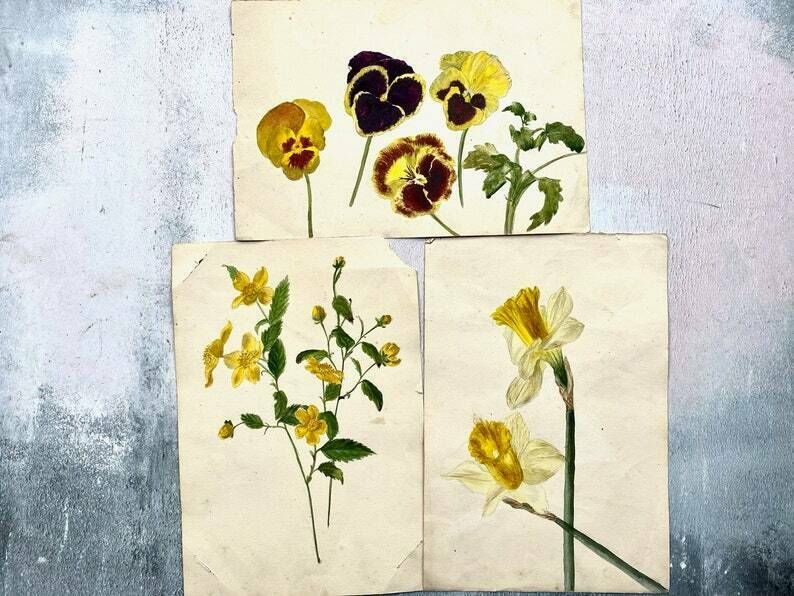 Collection Of Four Antique Floral Watercolour Paintings   Ethel Francis