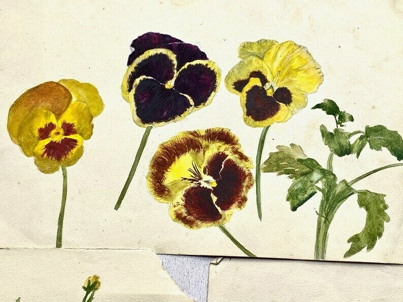 Collection Of Four Antique Floral Watercolour Paintings   Ethel Francis photo vinterior