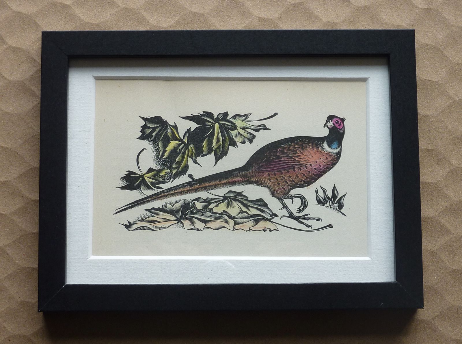 Woddcut 'Cock Pheasant' Lithograph From A Woodcut By Agnes Miller Parker C1937 ...