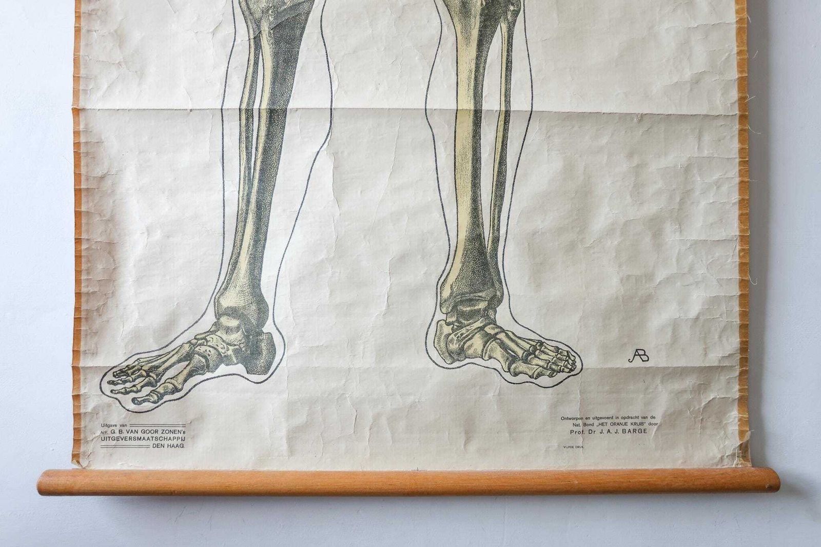 Proxy Skeleton Original Anatomical Vintage Dutch Educational School Wall Chart Human ...