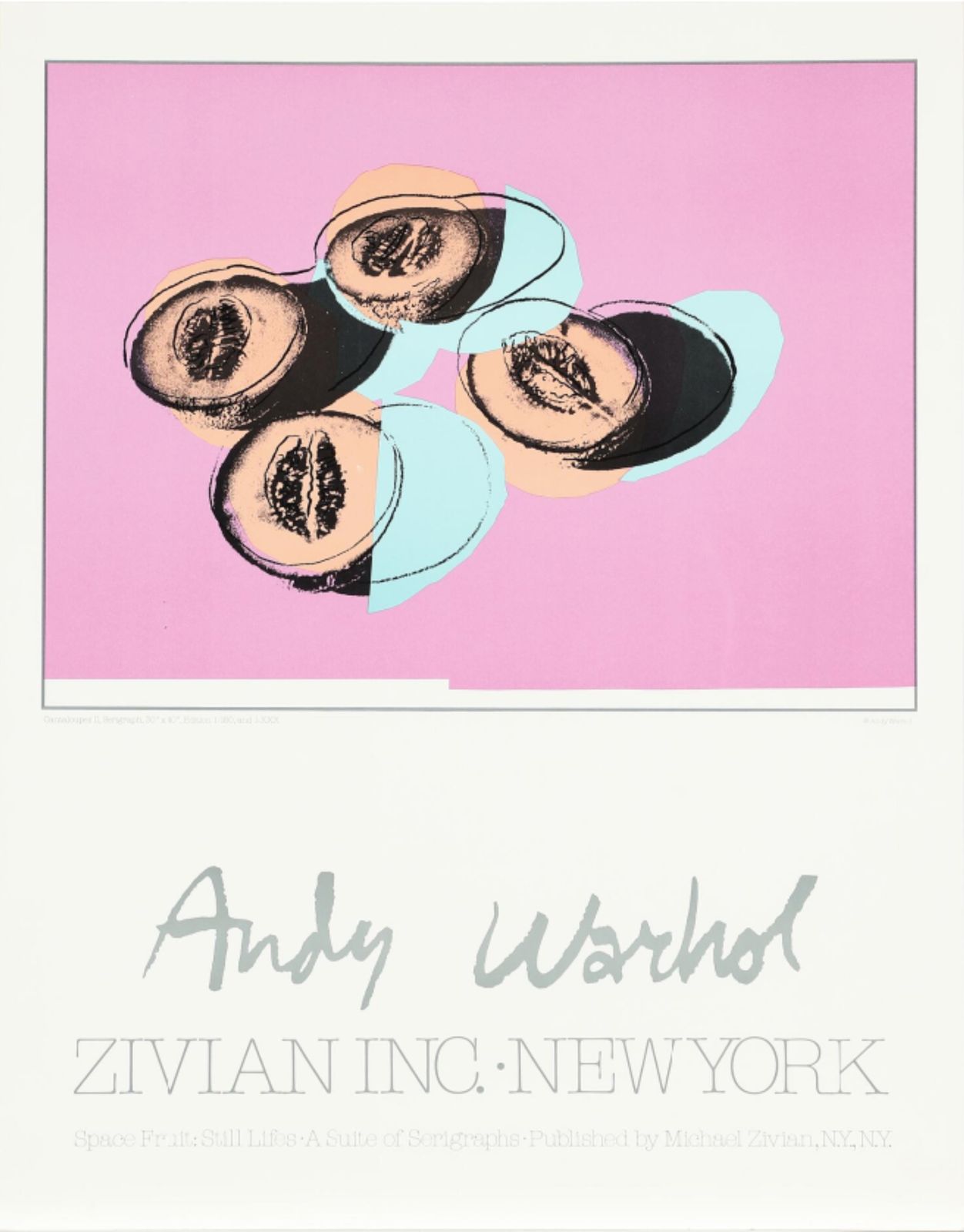 Andy Warhol Space Fruit Exhibition Poster. | Vinterior